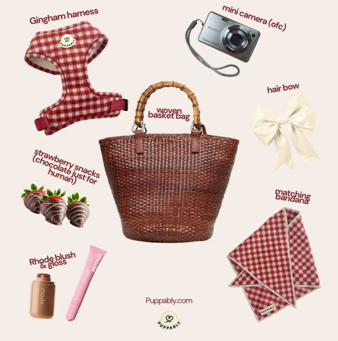 What's In My Dog's Bag 👜🍓