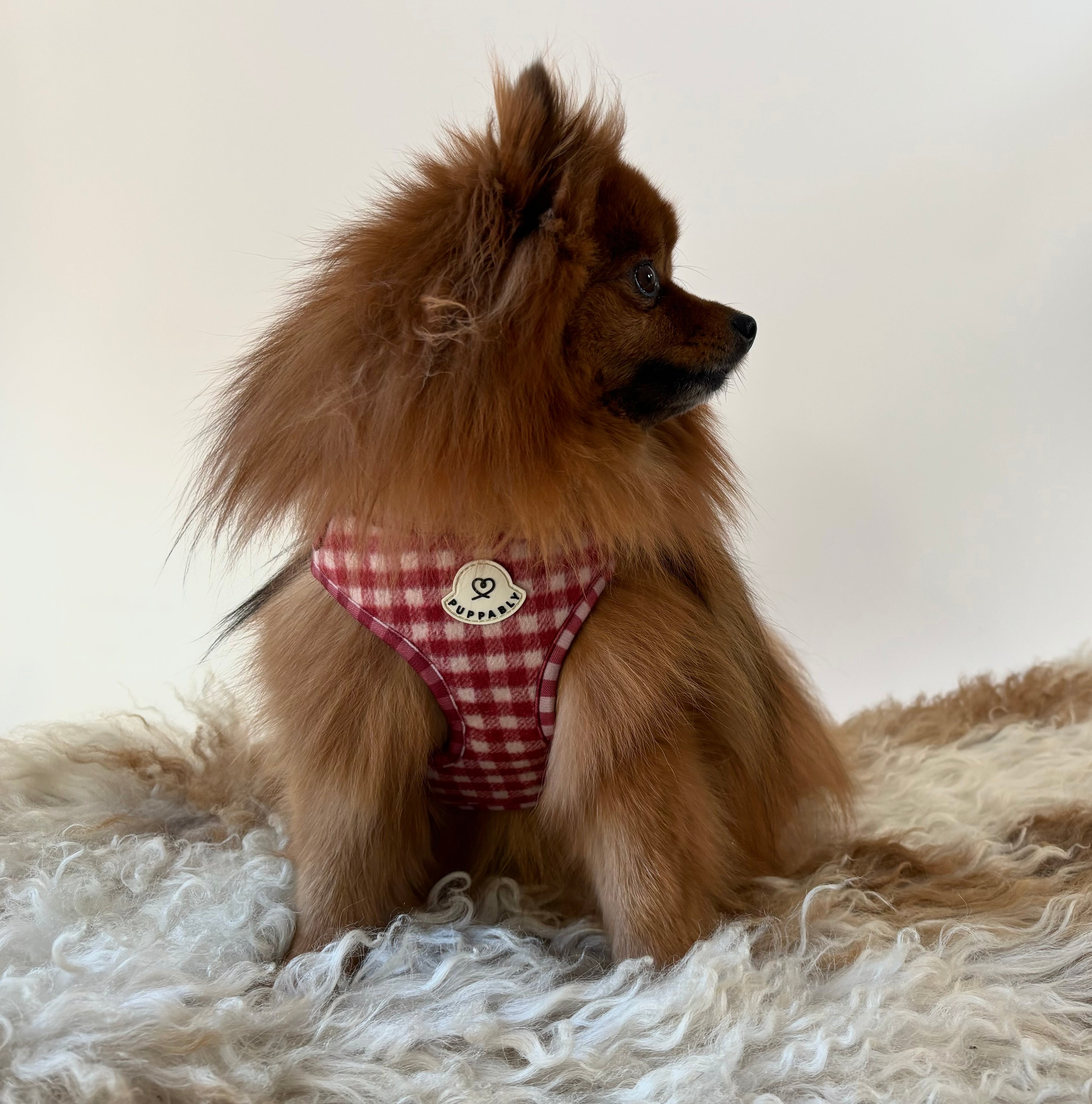 Gingham Harness