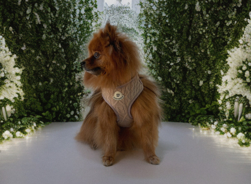 Classic Cable-Knit Harness
