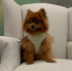 Honeycomb Harness