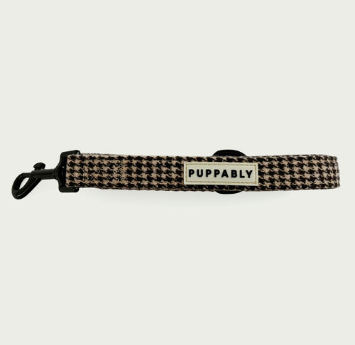 Biscuit Check Leash