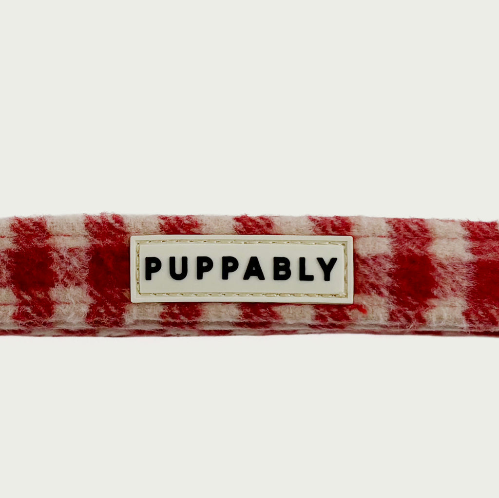 Gingham Leash