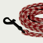 Gingham Leash