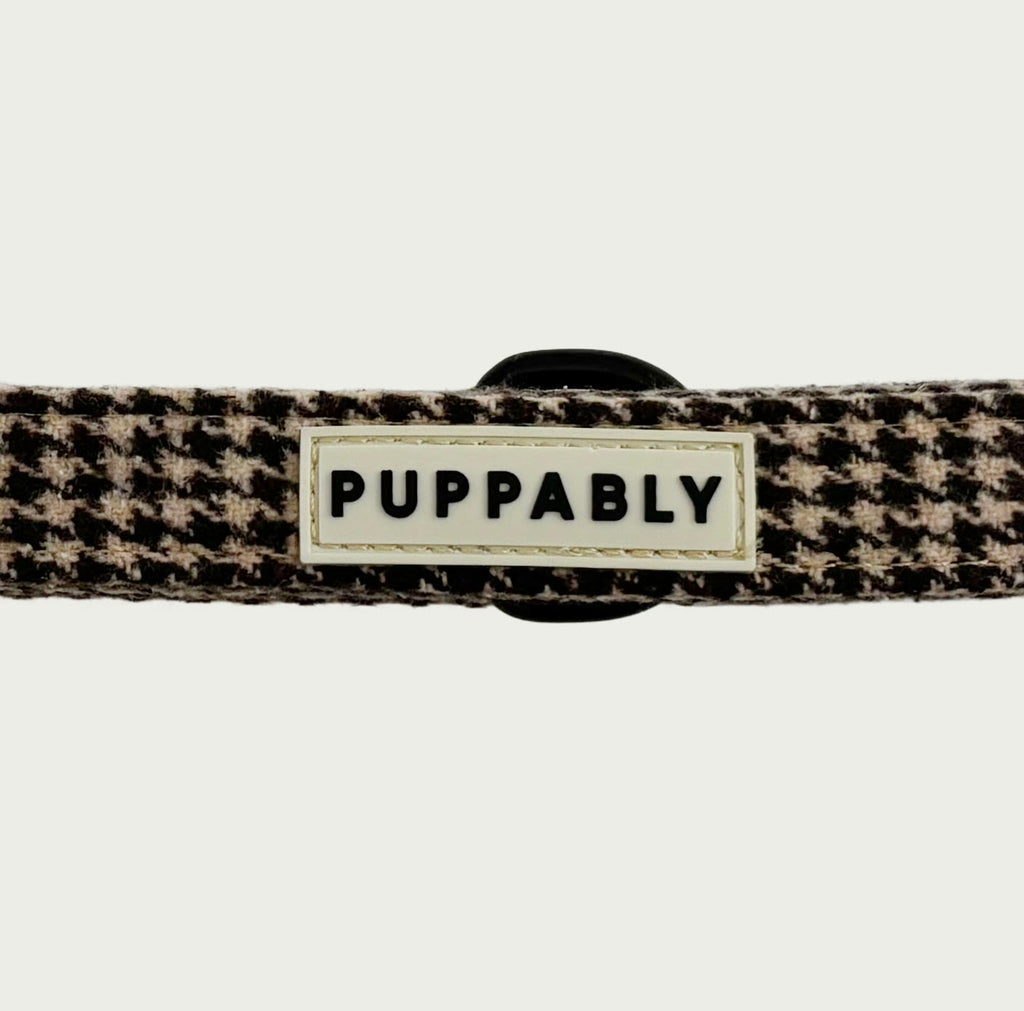 Biscuit Check Leash