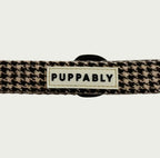 Biscuit Check Leash