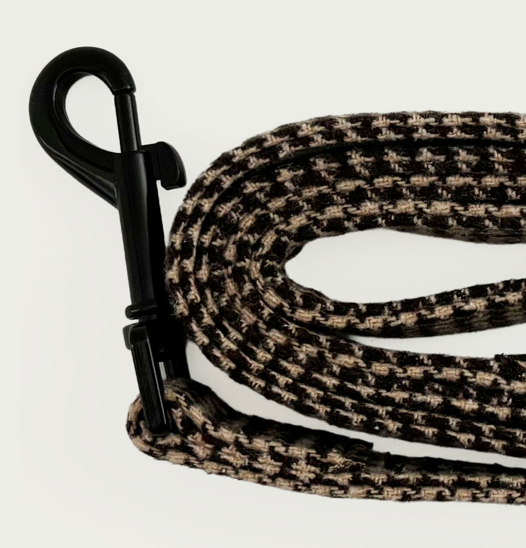 Biscuit Check Leash