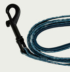 Whimsical Leash