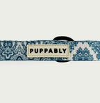Whimsical Leash