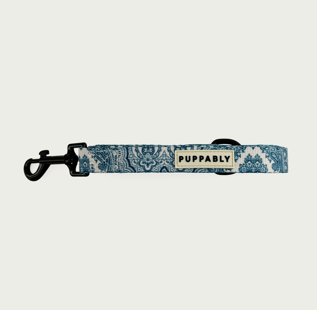 Whimsical Leash