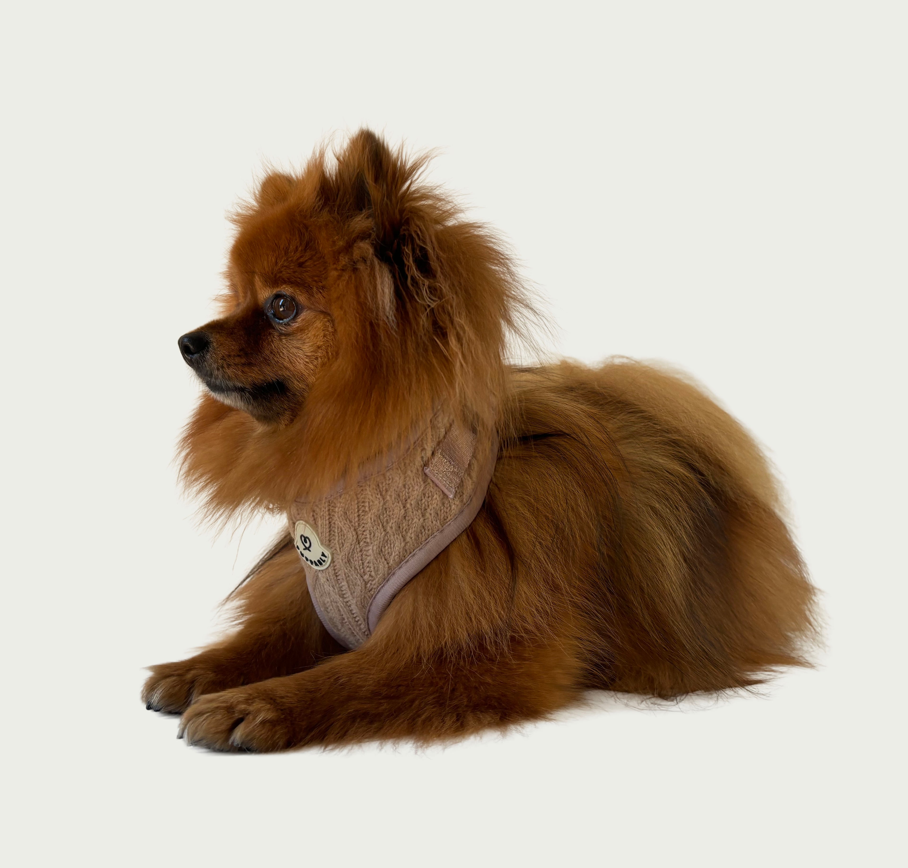 Classic Cable-Knit Geschirr