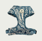 Whimsical Harness
