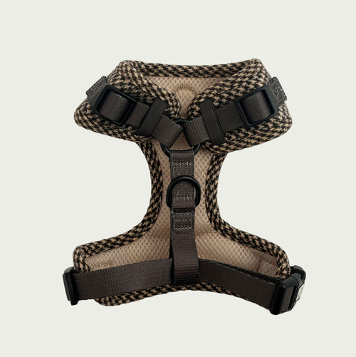 Biscuit Check Harness