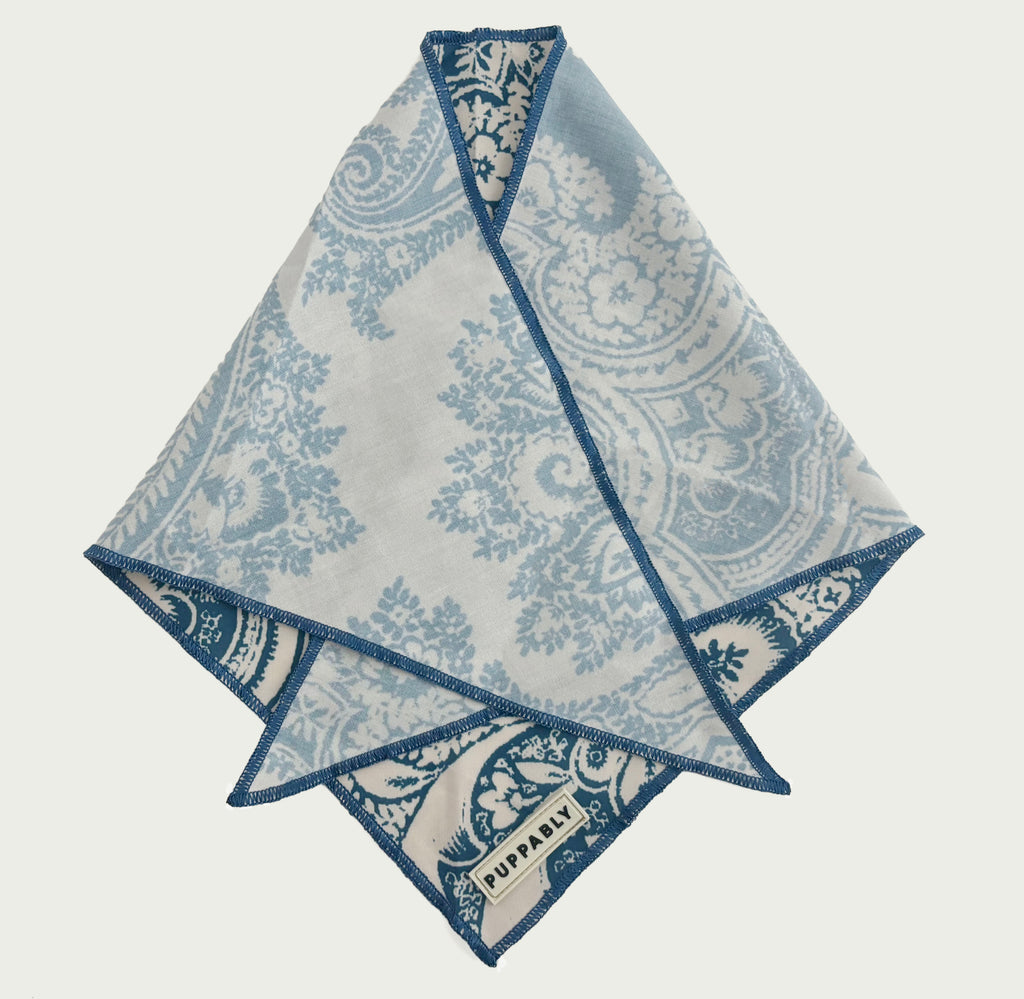 Whimsical Bandana