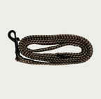 Biscuit Check Leash