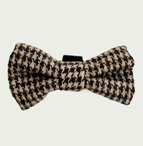 Biscuit Check Fliege