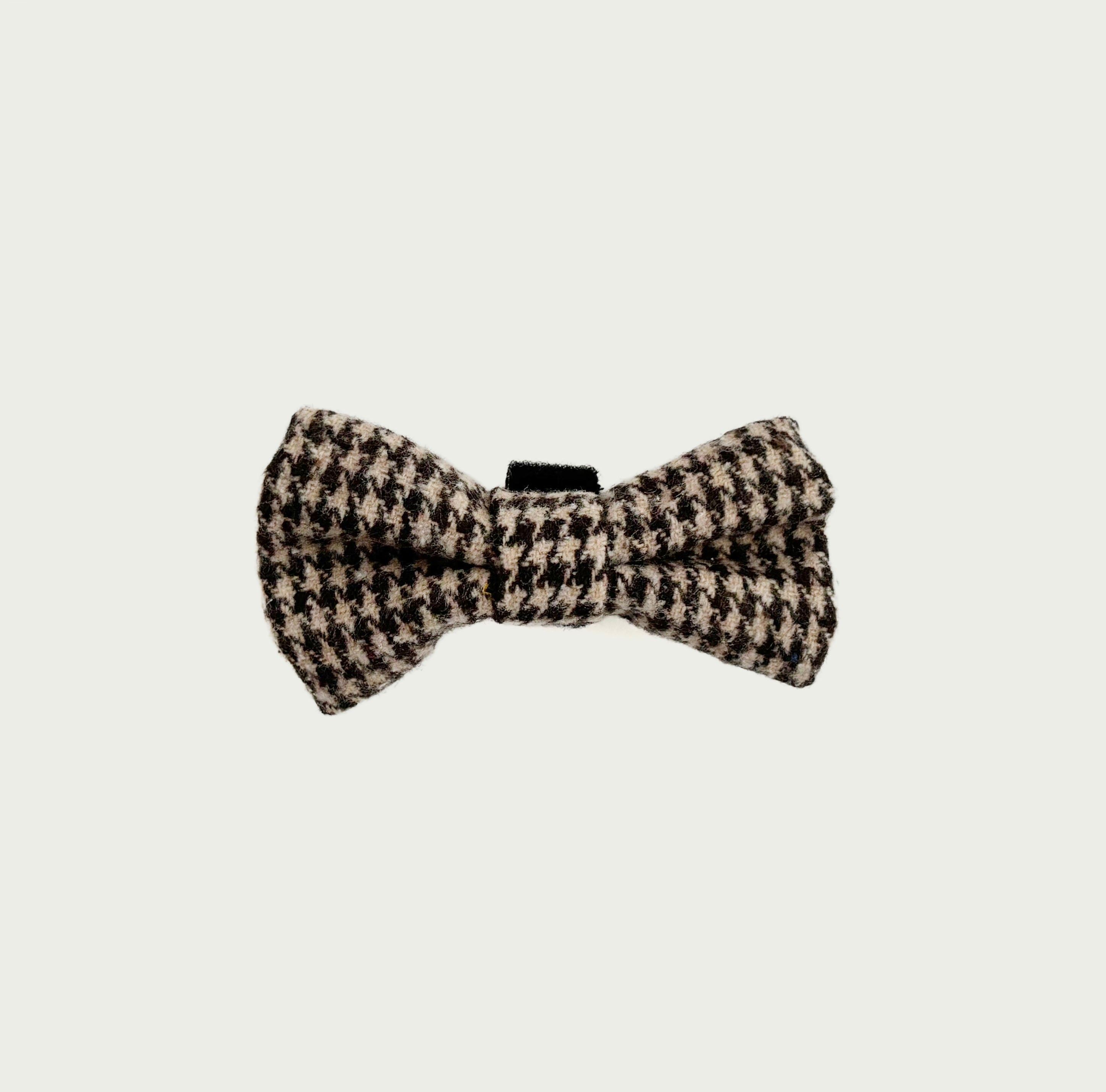 Biscuit Check Fliege