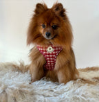Gingham Harness