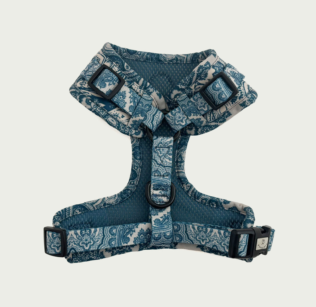 Whimsical Harness