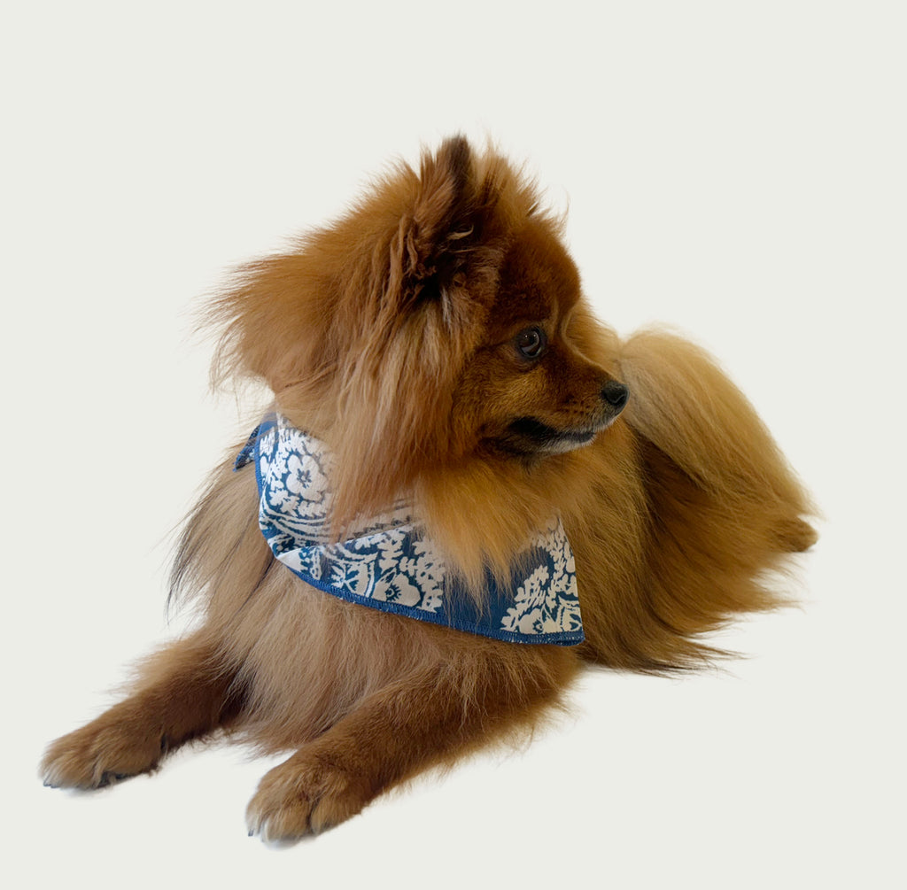 Whimsical Bandana