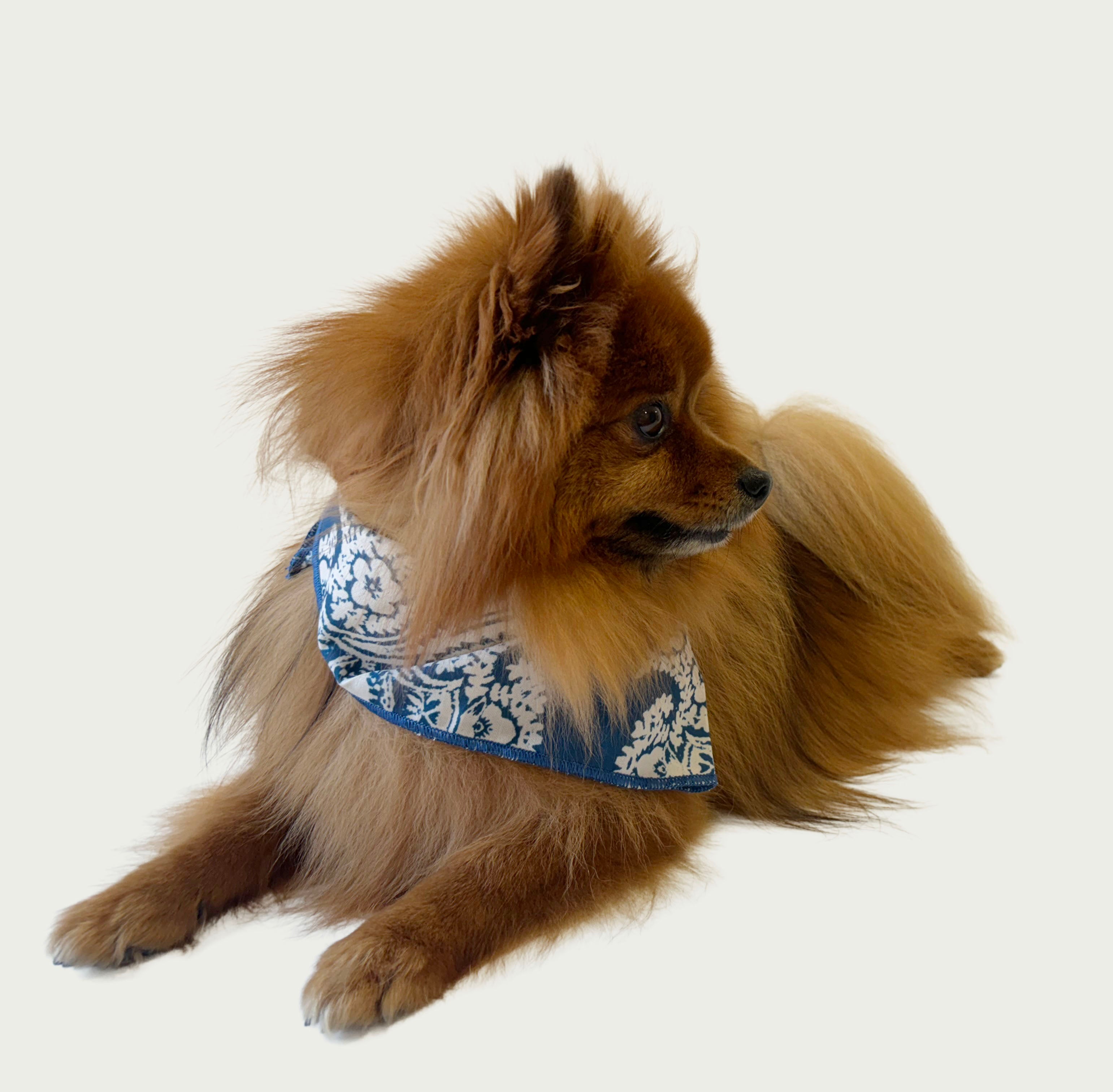 Whimsical Bandana