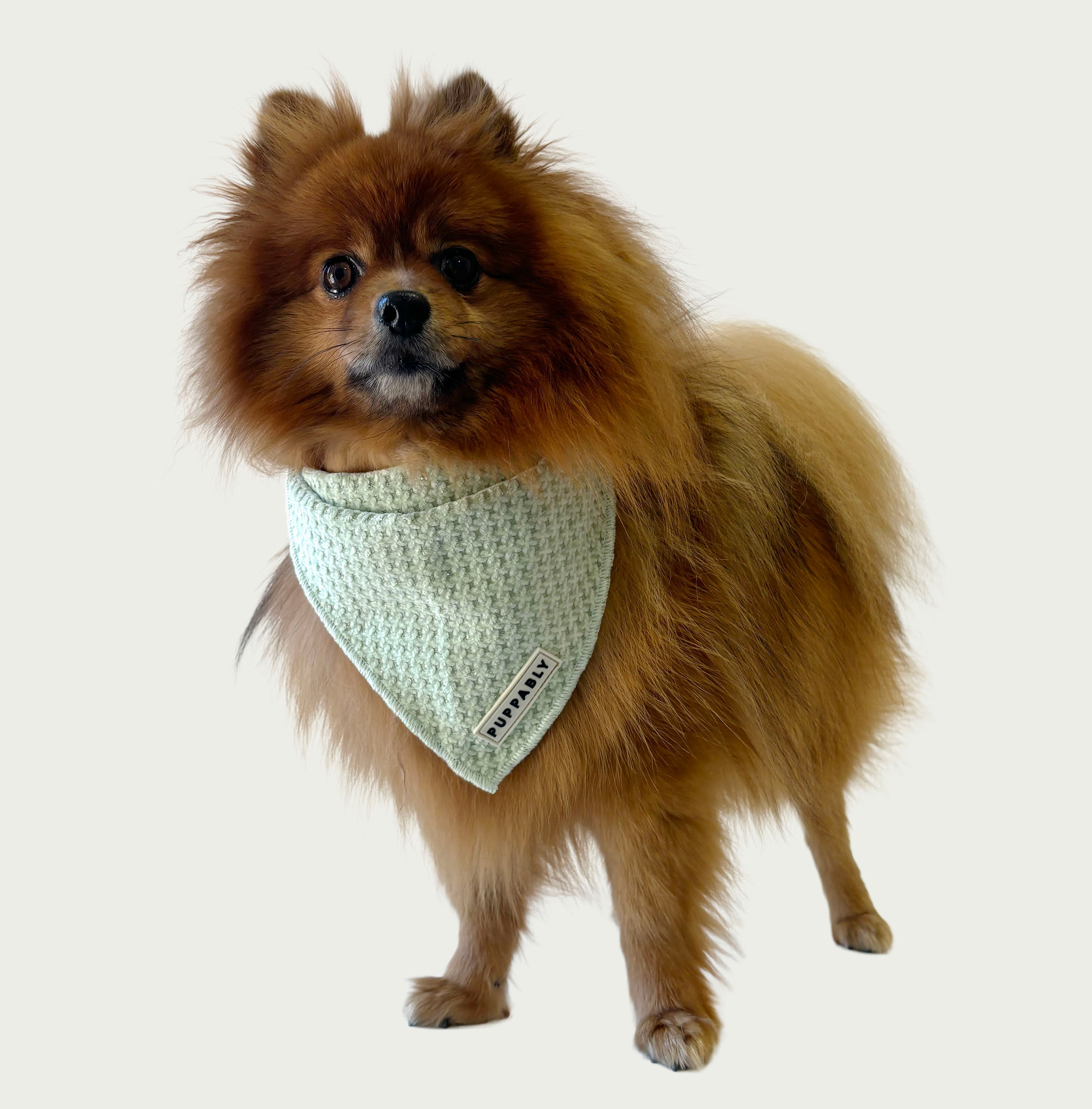 Honeycomb Bandana